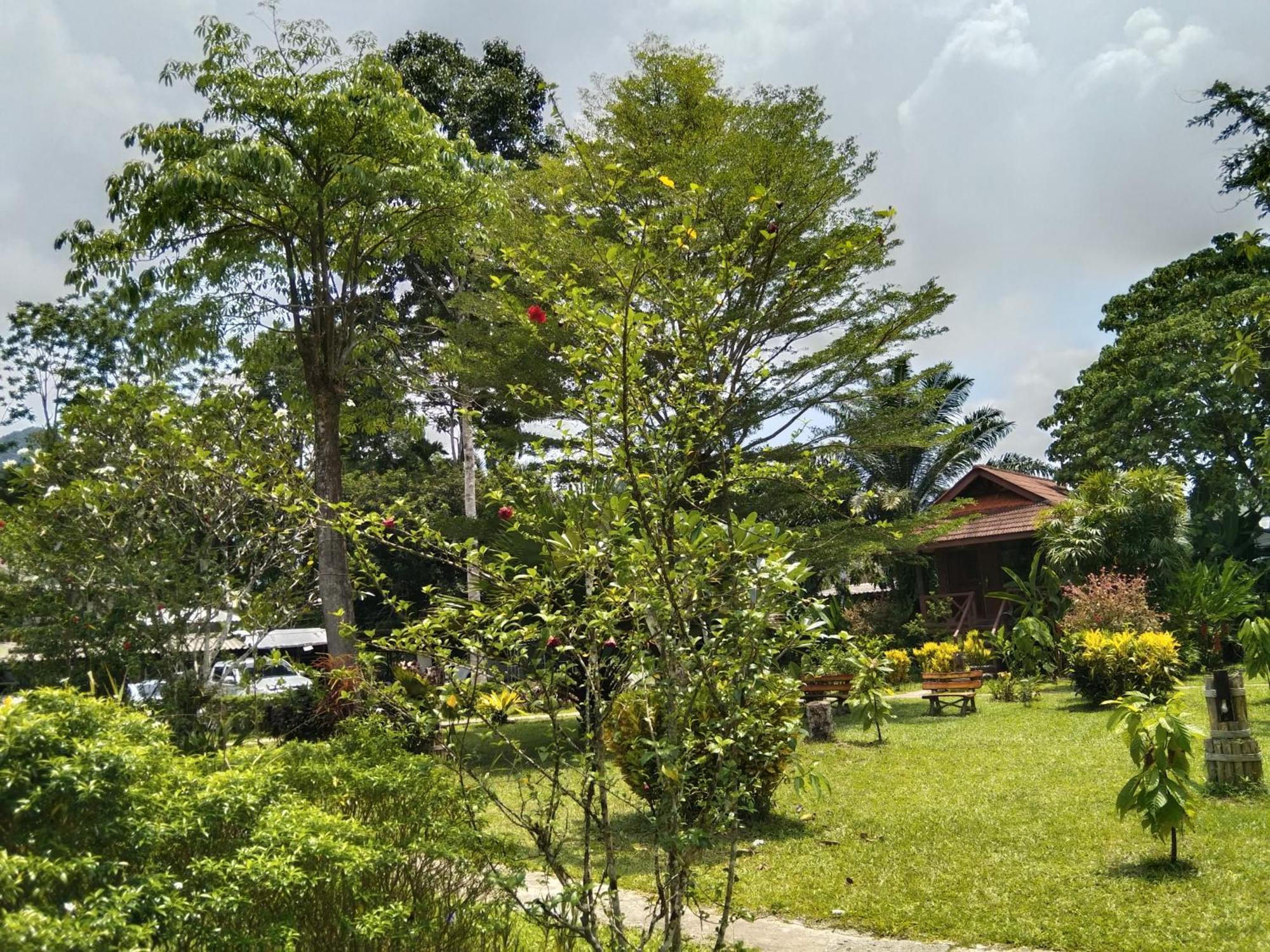 Khao Sok River & Jungle Resort Khao Sok National Park Quarto foto